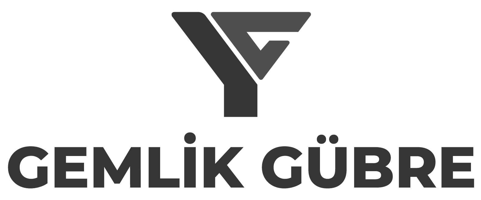 logo4